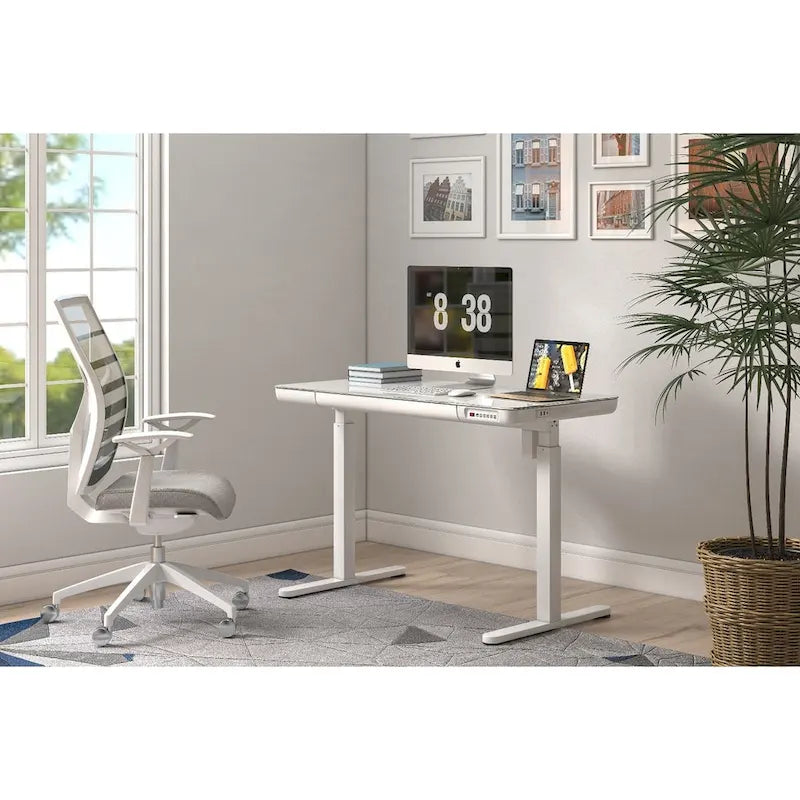 48 Inch Glass Electric Standing Desk with Tempered Glass Top Adjustable Height Sit Stand Workstation for Modern Office